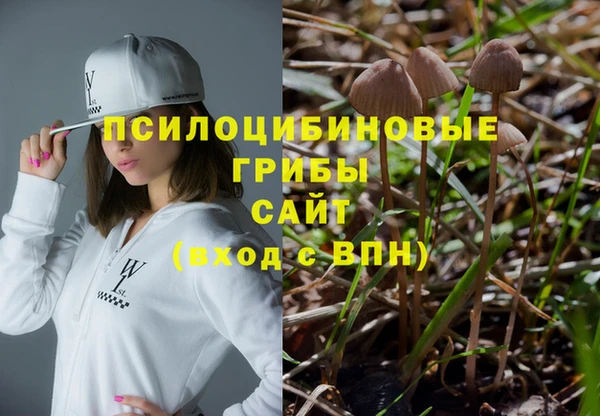 спиды Михайловск